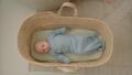 Spací pytel LODGER Hopper Newborn Solid 2024, blue fogg  - 6/6